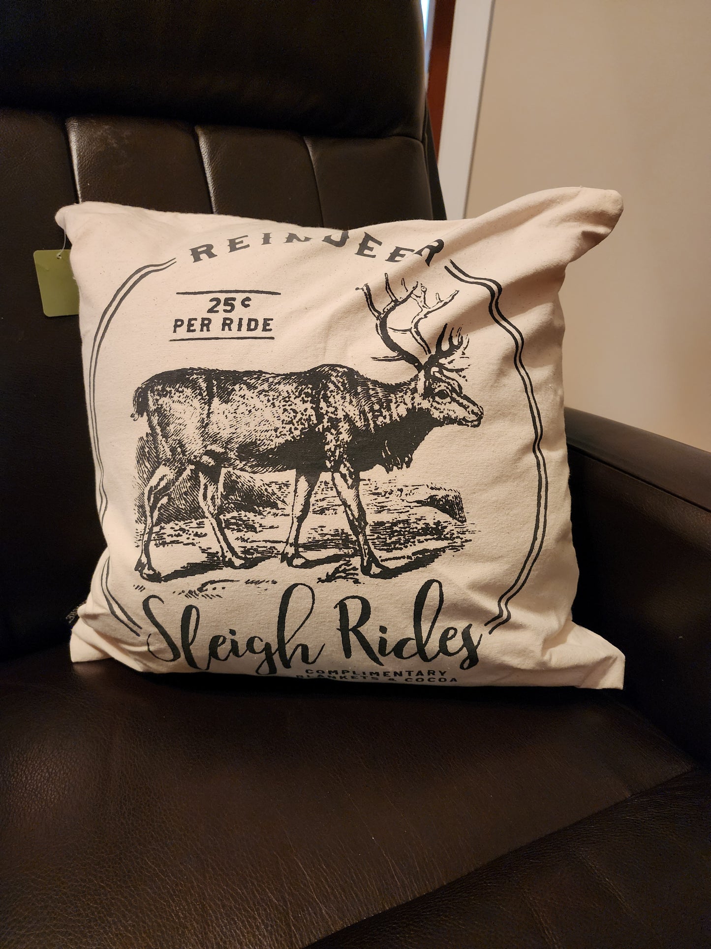 Reindeer Sleigh Rides Pillow